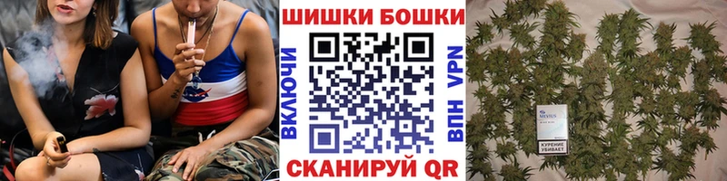 Бошки марихуана ГИДРОПОН Ильский